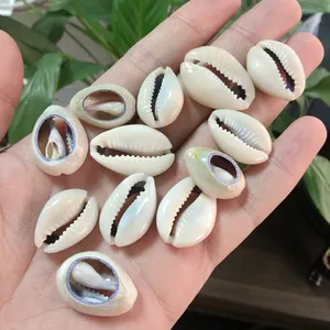 2019 Sıcak Satış DIY Doğal Cowrie Deniz Kabuğu Boncuk PASPAS Mercan Hiçbir Delik Gevşek Paketi DIY Yapımı Takı Için aksesuar