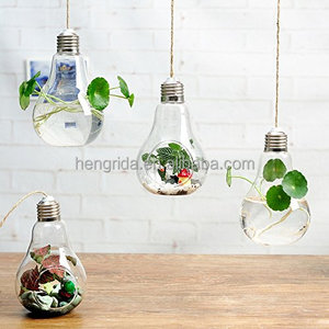 ชุดใหม่2หลอดไฟรูปทรงแก้วใสต้นไม้จำลองพร้อมสายแขวน - Product Image 4