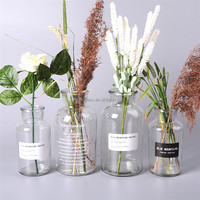 Vases en verre transparent ou ambré en gros à bas prix / Verre transparent en gros Pots d'apothicaire