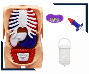 Juego <span class=keywords><strong>de</strong></span> plástico modelo <span class=keywords><strong>de</strong></span> cuerpo médico conjunto <span class=keywords><strong>de</strong></span> juguete para <span class=keywords><strong>los</strong></span> niños - Product Image 5