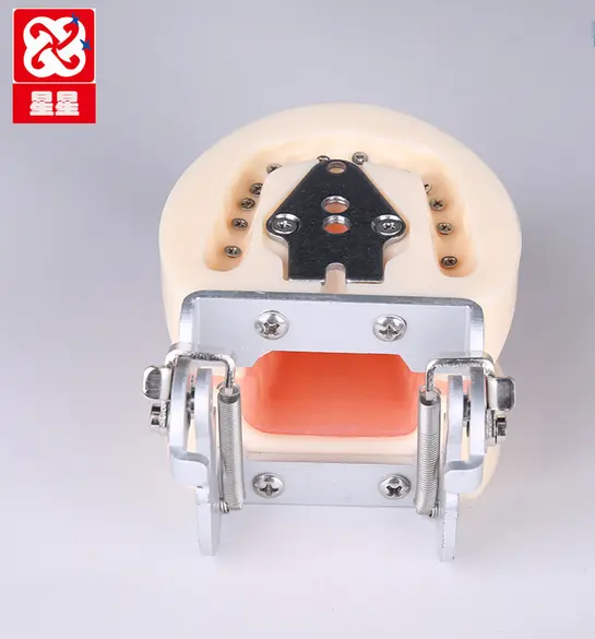 Standart diş modeli çıkarılabilir Nissin uygulama modeli diş vidalı çin'de