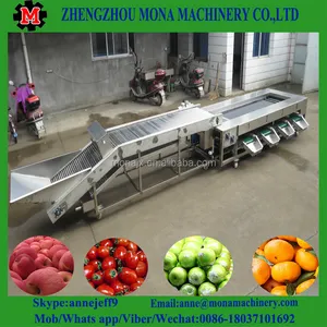 Fruit grading calibration size machine