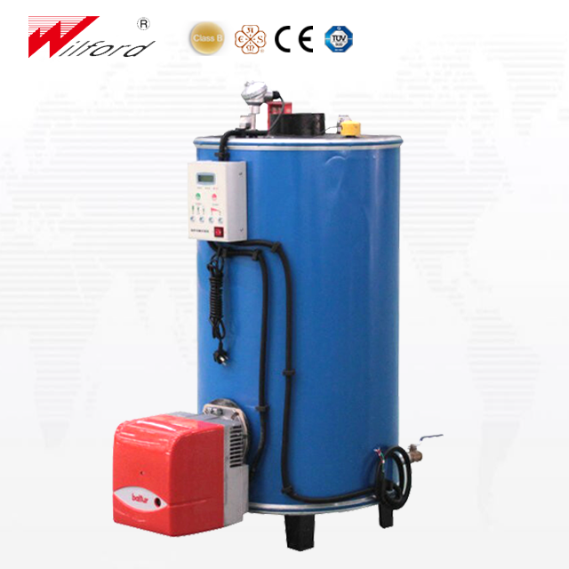 Small Industrial Vertical Gas Fired Low