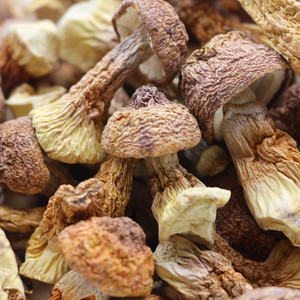 Detan secas <span class=keywords><strong>Agaricus</strong></span> blazei setas chinas - Product Image 2