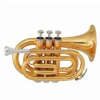 Túi Trumpet HPL-906 Nhạc Cụ