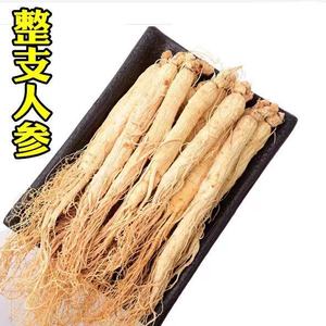 Échantillon gratuit De Ginseng Biologique <span class=keywords><strong>Jilin</strong></span> Ginseng La Montagne Changbai Racines De Ginseng - Product Image 3