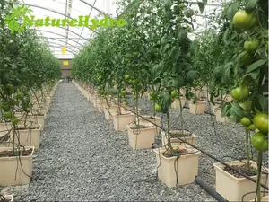 Hidropônico Green House Equipamento Hidropônico Grow Block Plant Growing Medium Garden Pot Bucket System