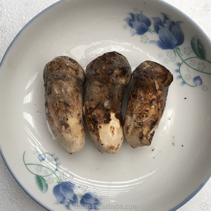 Detan forzen silvestres <span class=keywords><strong>tricholoma</strong></span> <span class=keywords><strong>matsutake</strong></span>/hongos de pino precios - Product Image 5
