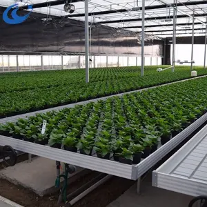 Topraksız tarım hidroponik aquaponics büyüyen sistemleri