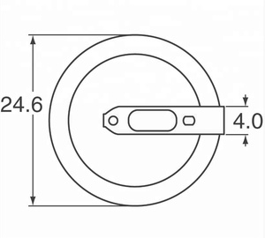 Batterie bouton au lithium <span class=keywords><strong>CR2450</strong></span> 3V personnalisée avec broches à <span class=keywords><strong>souder</strong></span> pour appareils ménagers et électronique grand public - Product Image 2