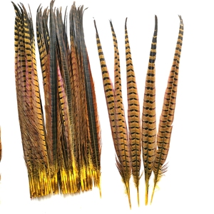 Bán buôn yjxfeather Brazil carnival trang trí 50-55 cm lông Ringneck Trĩ - Product Image 3