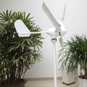 迷你 600 瓦风力发电机套件在中国