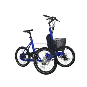 20 Inch 3 Wheels Bicycle With Basket Electric Tricycles 3 Wheel Cargo Bike Tricycle