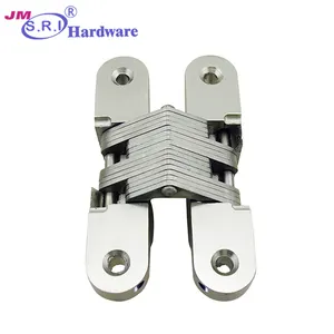 Zinc alloy concealed hinges for interior doors , vertical door hinges , concealed pivot hinge