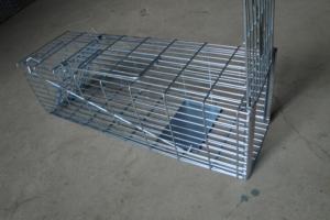 En çok satan canlı sıçan sincap tuzak kafesi s serbest kapı ile galvanizli canlı vahşi hayvanlar tuzak kafesi - Product Image 3