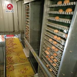 กรงไก่ชุบสังกะสีหลายชั้นสำหรับชั้นฟาร์มสัตว์ปีกสามารถปรับแต่งได้ - Product Image 3