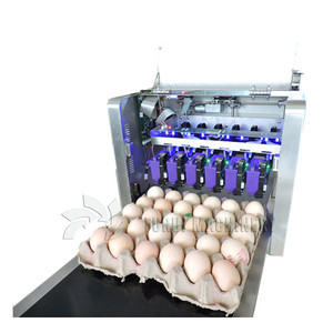 Chất lượng tốt nhất tự động <span class=keywords><strong>egg</strong></span> in ấn máy, trứng carton máy in - Product Image 1