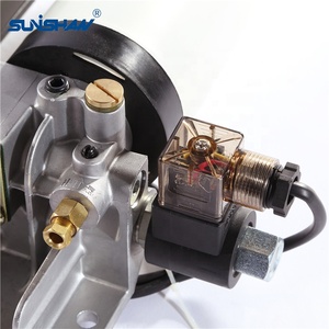 ปั๊มลูกสูบหล่อลื่นไฟฟ้าอัตโนมัติ25W VAC220 DC24 <span class=keywords><strong>20cc</strong></span>/นาที YGL-GS08 YGL-GS15 YGL-GS04 YGL-GS07 Sunishan Ishan - Product Image 6