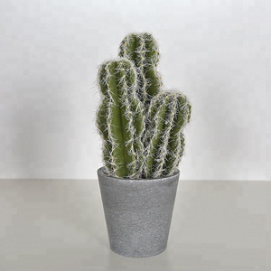 Verde <span class=keywords><strong>Opuntia</strong></span> 25cm <span class=keywords><strong>Cactus</strong></span> nuevo <span class=keywords><strong>Cactus</strong></span> Oficina <span class=keywords><strong>Cactus</strong></span> realista - Product Image 2