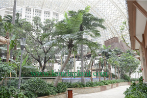 Accueil Jardin decovative cocotier arbre en plastique artificielle palmier dattier - Product Image 6