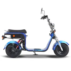 Citycoco scooter entrega rápida para portugal eec, frete grátis, bateria destacável 1500w 20ah, roda grande
