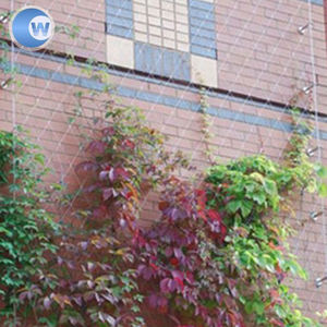 Profesional x-tienden malla de cable de acero inoxidable de <span class=keywords><strong>la</strong></span> pared verde de <span class=keywords><strong>la</strong></span> <span class=keywords><strong>serie</strong></span> - Product Image 1