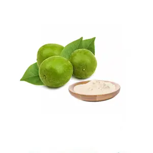 Han Guo 80% Mogrosides 25% Mogroside V mk édulcorant poudre d'extrait de Fruit produits de soins de santé lait naturel blanc gratuit HD nourriture