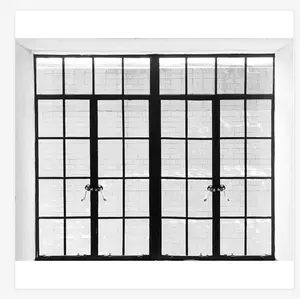 หน้าต่างเหล็กตกแต่ง Crittall ในสหรัฐอเมริกาออกแบบประตูเหล็กดัดสำหรับบ้าน