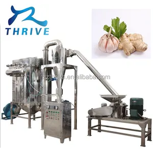 Línea de procesamiento de polvo de ajo a precio de fábrica, máquina para hacer harina de ajo deshidratada