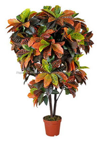 Barato chino aire bonsai artificial banyan árbol bonsai bonsai de interior plantas de árboles de plástico - Product Image 3