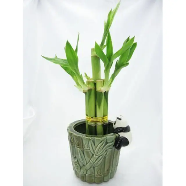 装飾セラミックパンダ竹花瓶