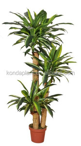 Plantas suculentas artificial/falso Árbol/árbol de los bonsai de plástico - Product Image 3