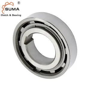 AS45 TSS45 NSS45 Freewheel מצמד דרך אחת רולר כדור Bearing עבור הילוכים