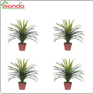 Cây Nhân Tạo 100Cm Aglaonema Costatum Lá Lớn Thường Xanh Nhà Máy - Product Image 2