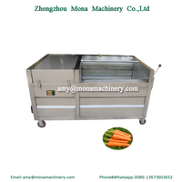 Machine à laver sèche pour fruits, brosse souple, datages au gingembre, polissage des fruits, nettoyage, prix sans eau