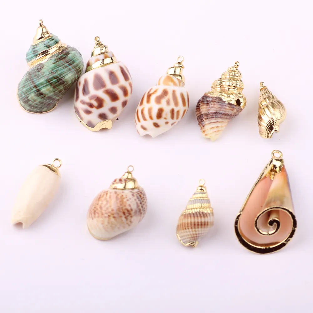 New Fashion Natural Seashell Necklace Pendant for Women
