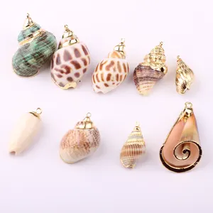 New Fashion Natural Sea shell Halskette Anhänger für Frauen