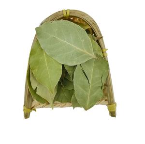 Feuilles entières de <span class=keywords><strong>Laurier</strong></span> noble séchées naturelles pour épice naturelle - Product Image 1