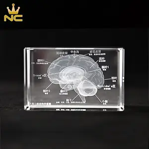 Gehirn Modell Design Gravur Glas Block 3D Laser Kristall Für Krankenhaus Souvenirs