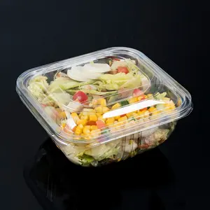 2 Compartimenten Wegwerp Plastic Rechthoek Blister Salade Containers Met Deksels Clear Pet Lade Voor Salade Verpakking