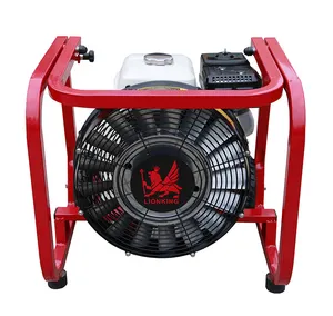 Leeuwenkoning Ventilator Met 16"