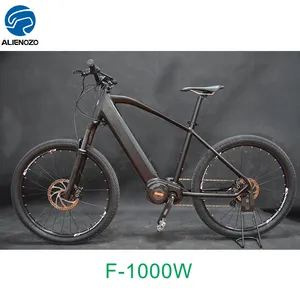 Sepeda Listrik Gunung 1000W 48V, Sepeda Listrik/Sepeda Listrik/E Klasik dengan CE EN15194