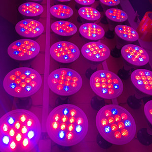 Vente chaude Produits E27 Led Lumière PAR12 Élèvent La Lumière <span class=keywords><strong>pour</strong></span> <span class=keywords><strong>Mini</strong></span>-<span class=keywords><strong>Serre</strong></span> - Product Image 2