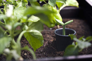22.4 gallons <span class=keywords><strong>résine</strong></span> plastique aspect bois surélevé Patio jardin fleur planteur lit Graphite couleur emballé dans un carton - Product Image 6
