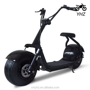 CEE Harley ciudad Coco 800 W (YHZ-DZ-050) - Product Image 3