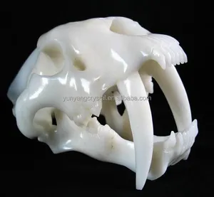 unieke witte jade edelsteen schedel sabel getande tijger smilodon