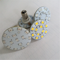 Fabricant Personnalisé 24v 60v E10 E14 Cabochon Lampe Auto Led Ampoules pour Amusement Ride