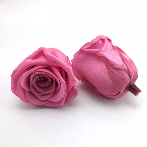 Vente en gros de roses éternelles naturelles de qualité supérieure, 70 couleurs, 4-5 5-6 cm, pour la fête des mères, la Saint-Valentin, la remise des diplômes, Noël - Product Image 3
