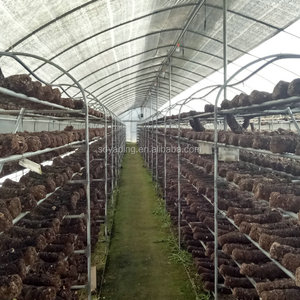 Nấm phát triển nhà kính thiết kế hiện đại <span class=keywords><strong>farming</strong></span> - Product Image 2