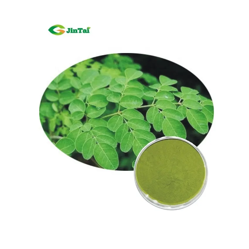 Benefici per la salute Bulk Moringa Powder estratto di foglie di Moringa in polvere